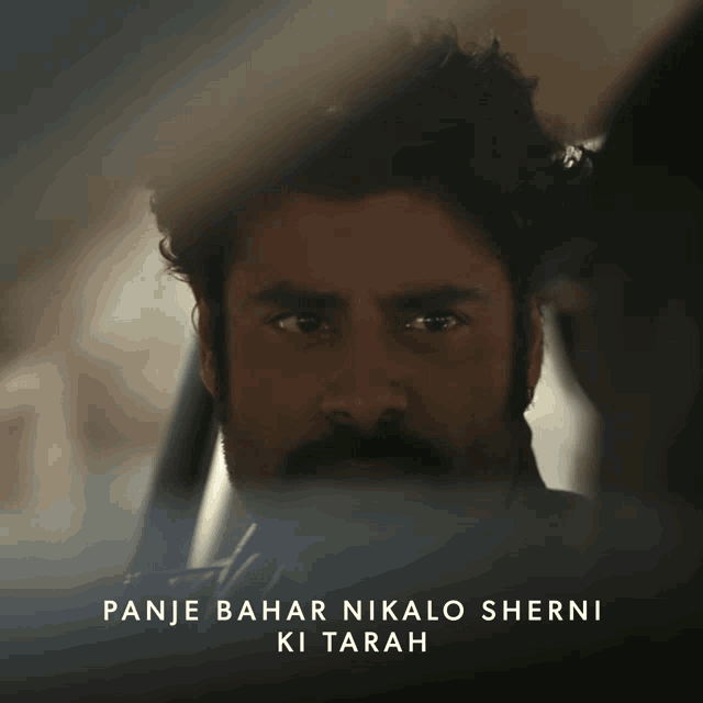 Panje bahar nikalo sherani ki tarah memes gif by bollywood