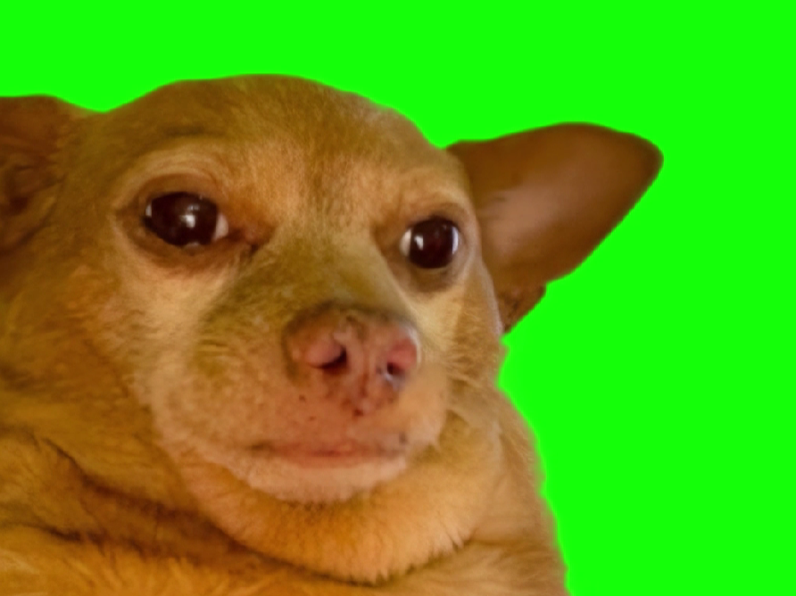 free green screen meme