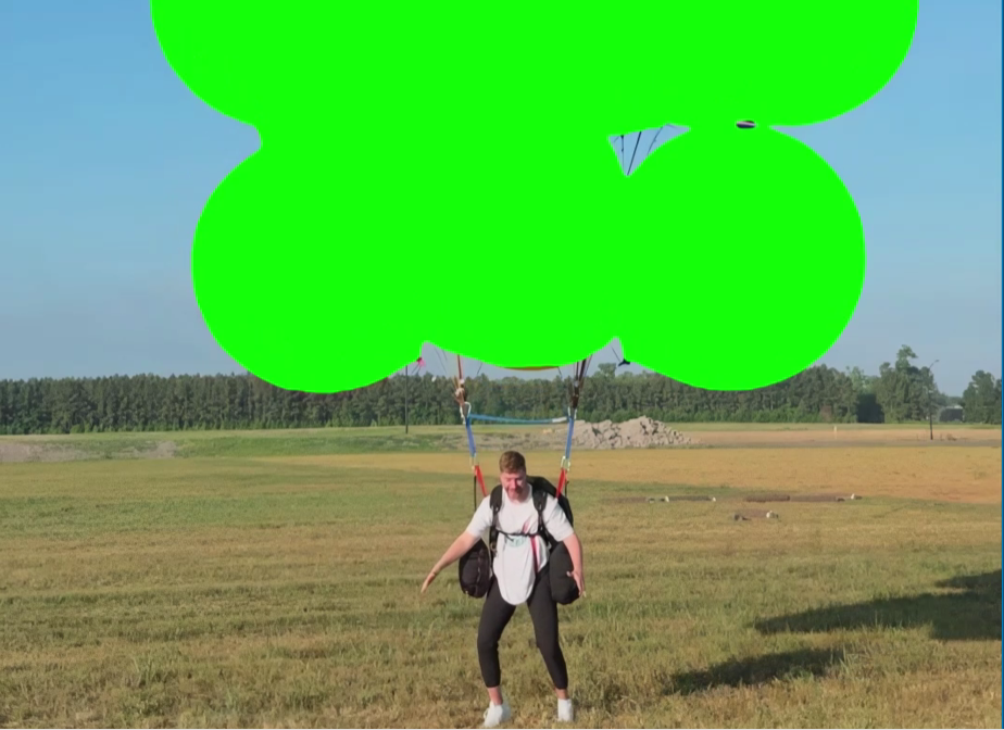 free green screen meme
