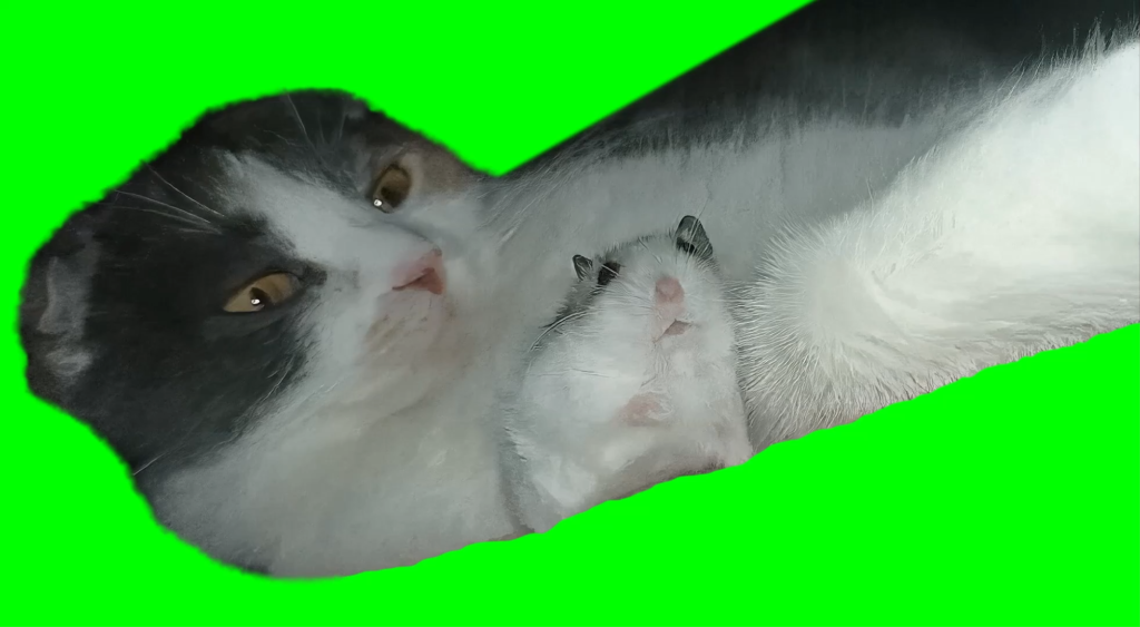 free green screen meme