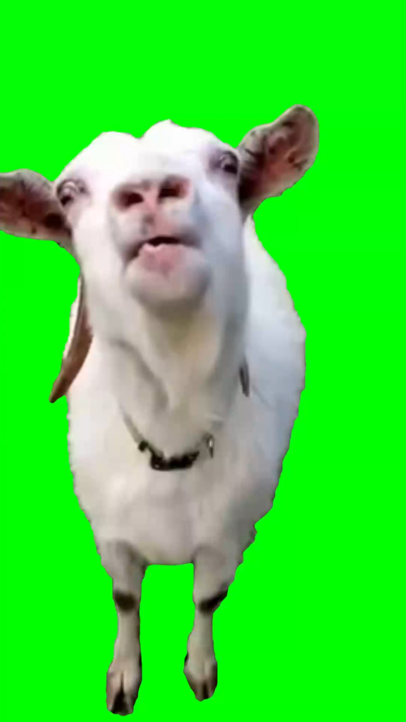 free green screen meme