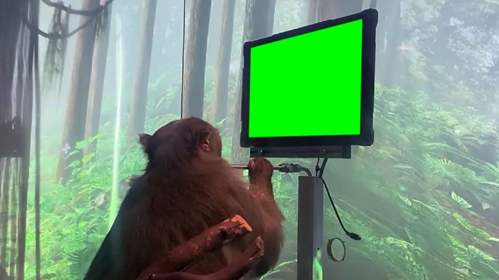 free green screen meme