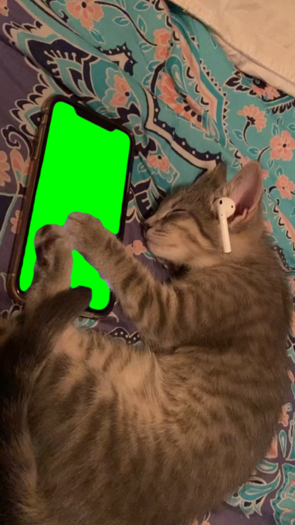 free green screen meme
