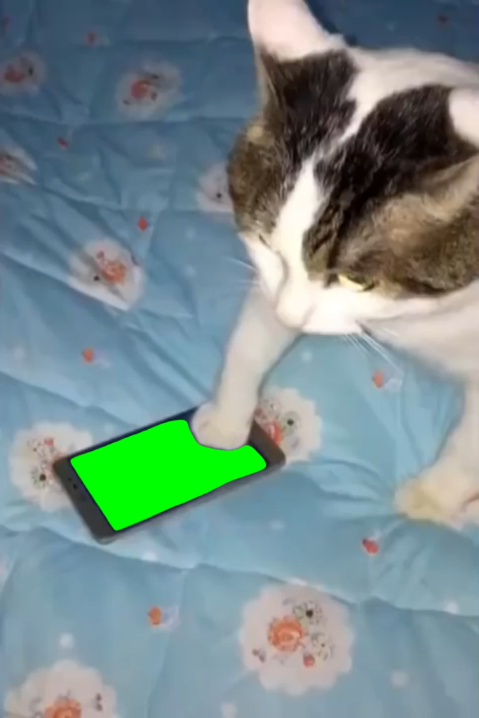 free green screen meme