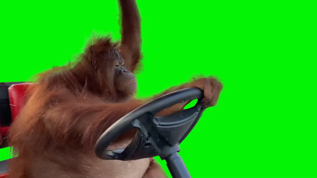 free green screen meme