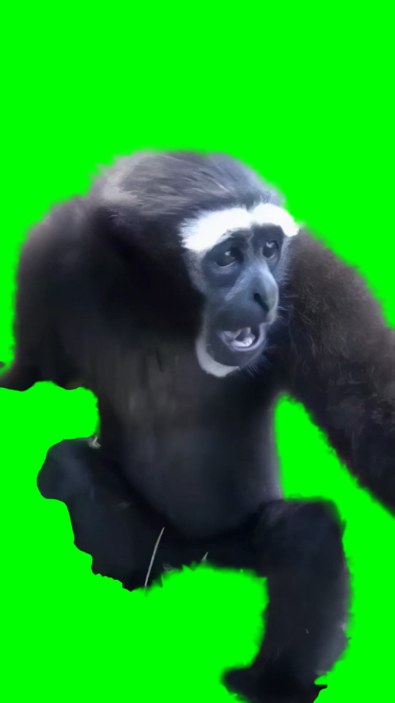 free green screen meme