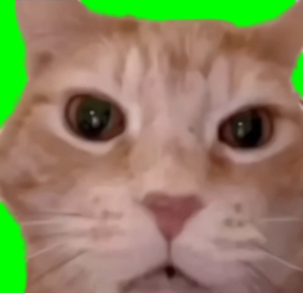 free green screen meme