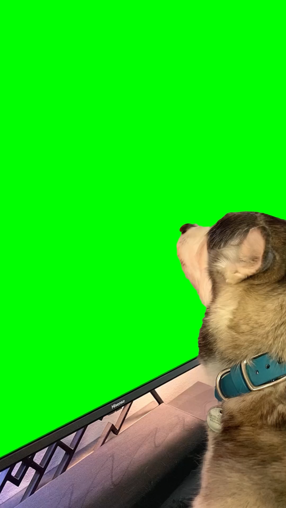 free green screen meme