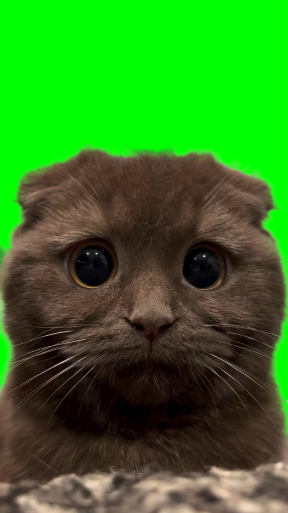 free green screen meme