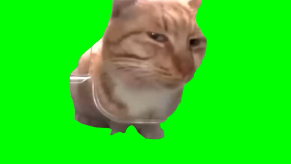 free green screen meme