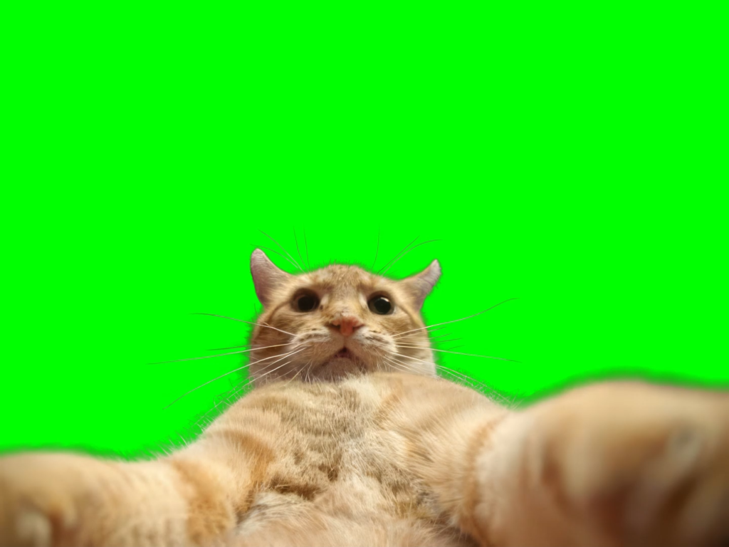 free green screen meme