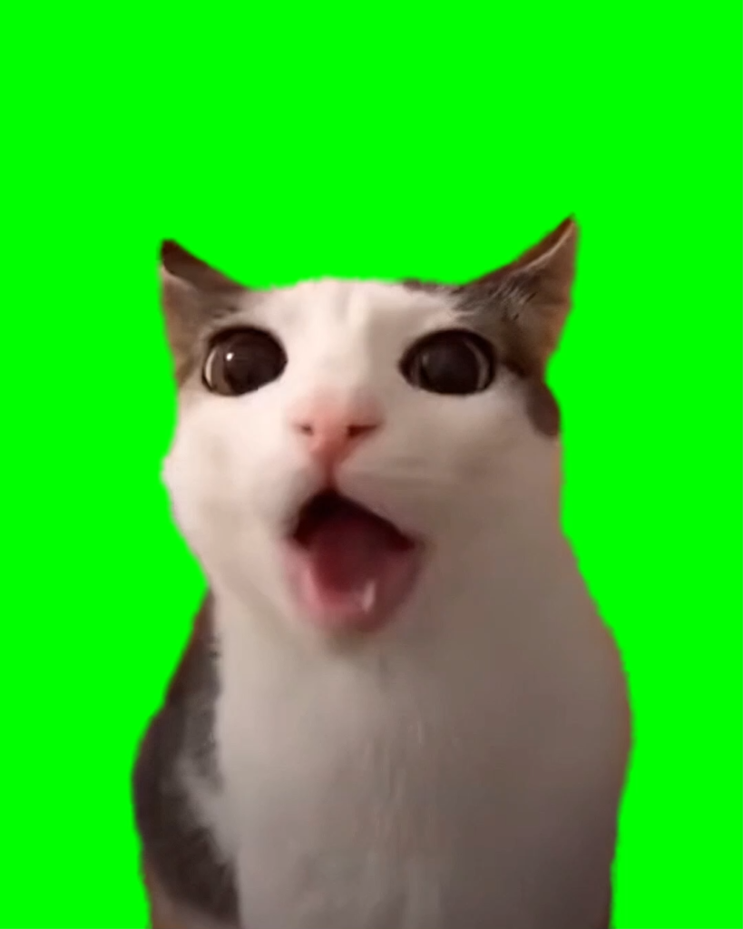 free green screen meme
