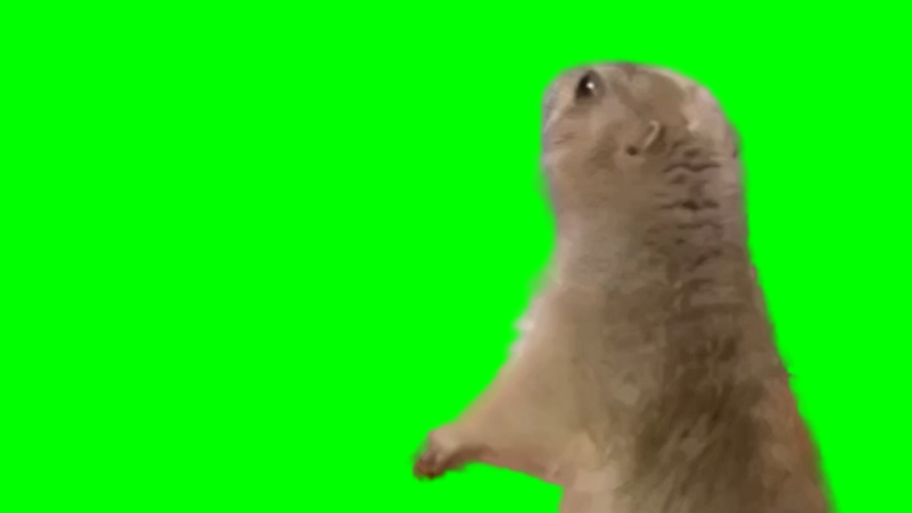 free green screen meme