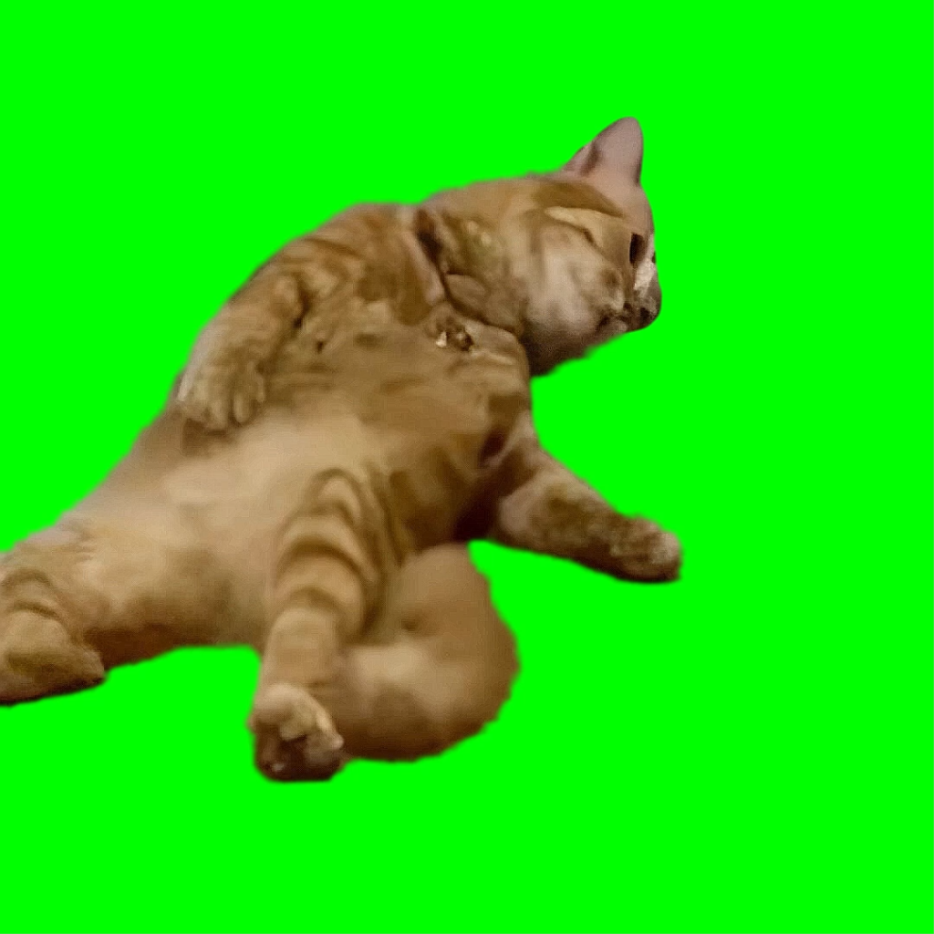 free green screen meme