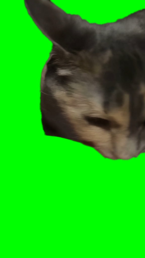 free green screen meme