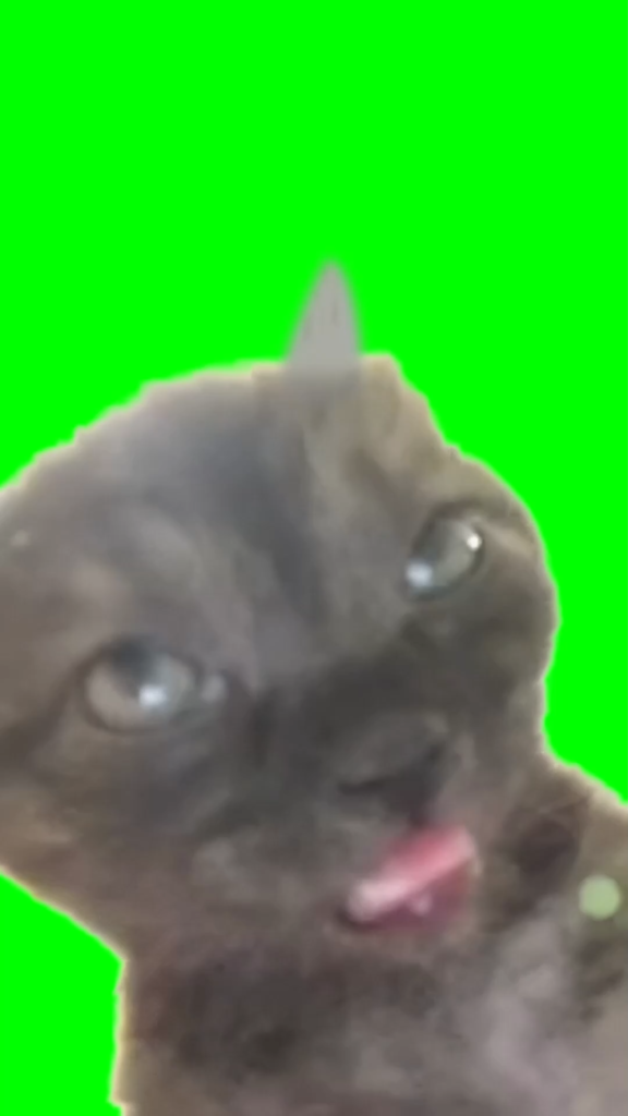 free green screen meme