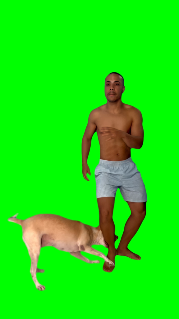 Guy Dancing while a Dog is Biting his Leg free green screen meme Template of a guy dancing while a dog is biting his leg
