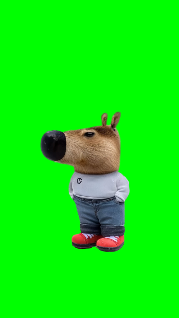 Chill Guy free green screen meme