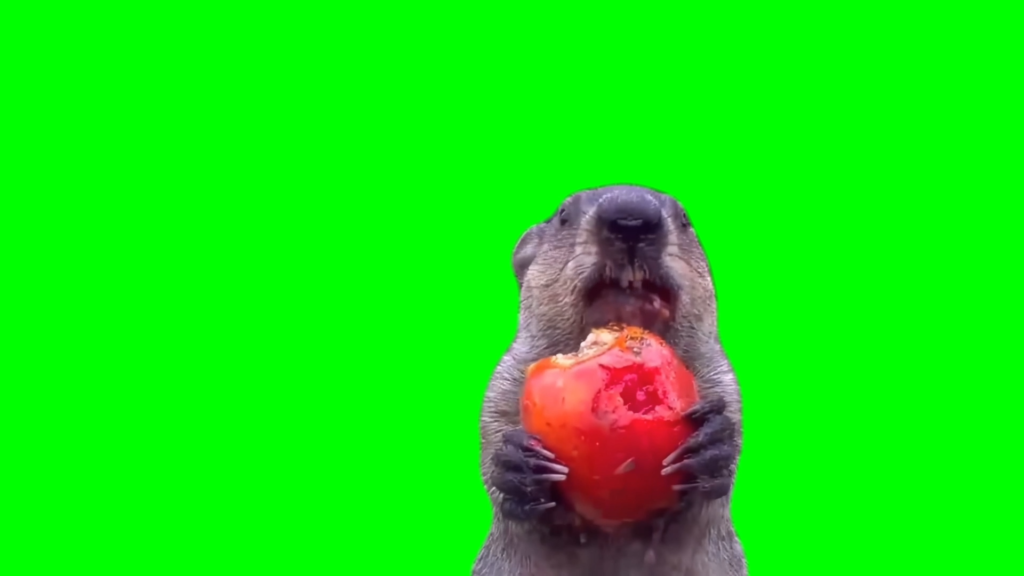 Free green screen meme