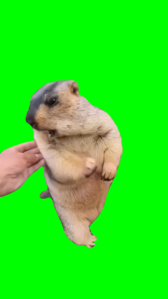 free green screen meme