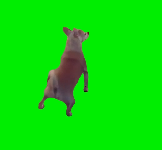 free green screen meme