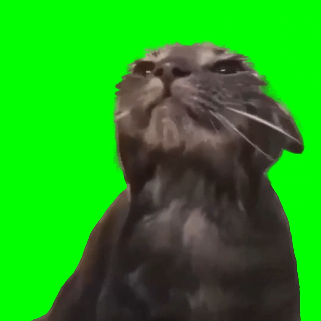 free green screen meme