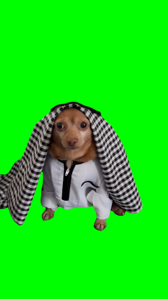 free green screen meme
