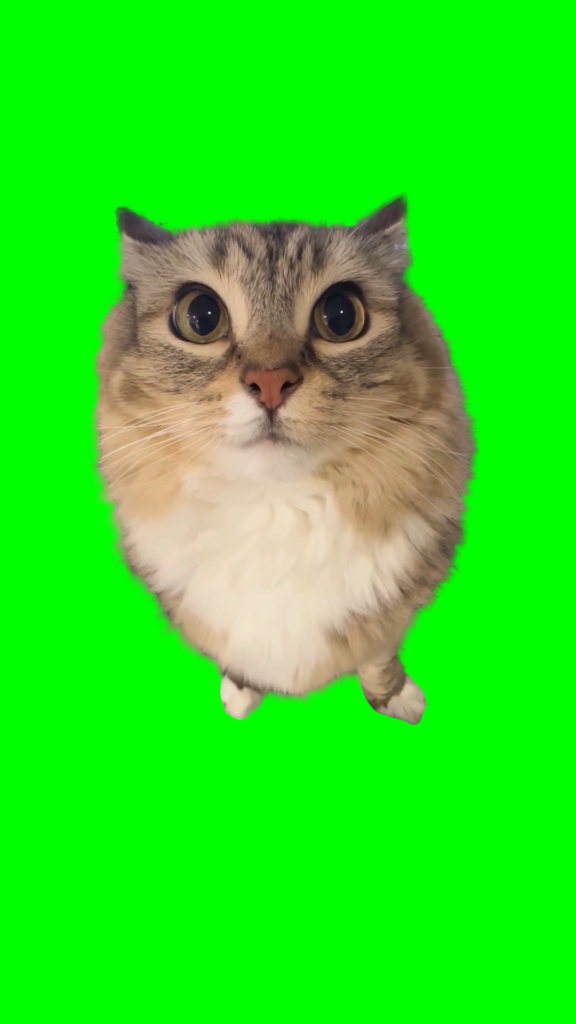 free green screen meme