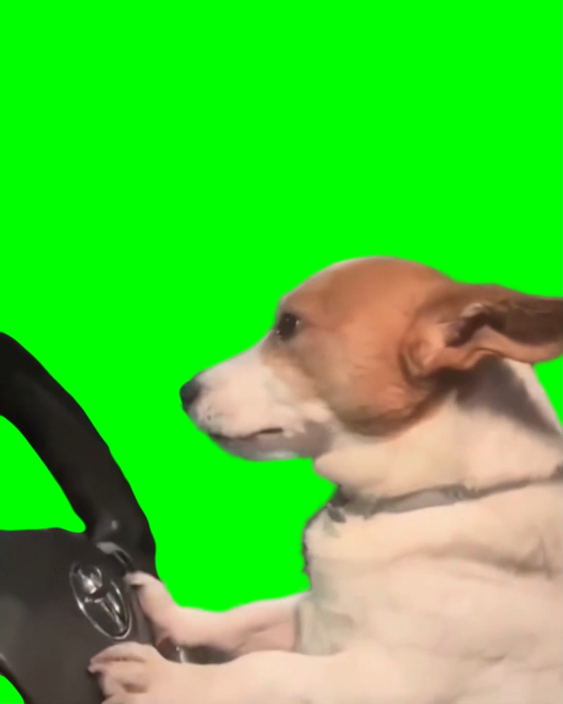 free green screen meme