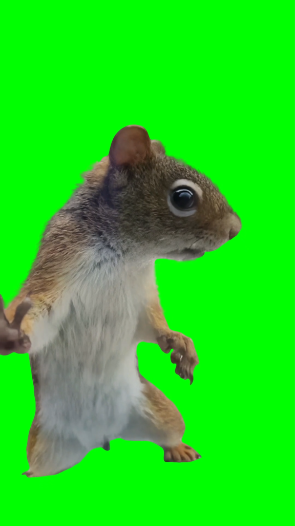 free green screen meme