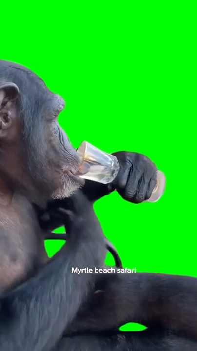 free green screen meme