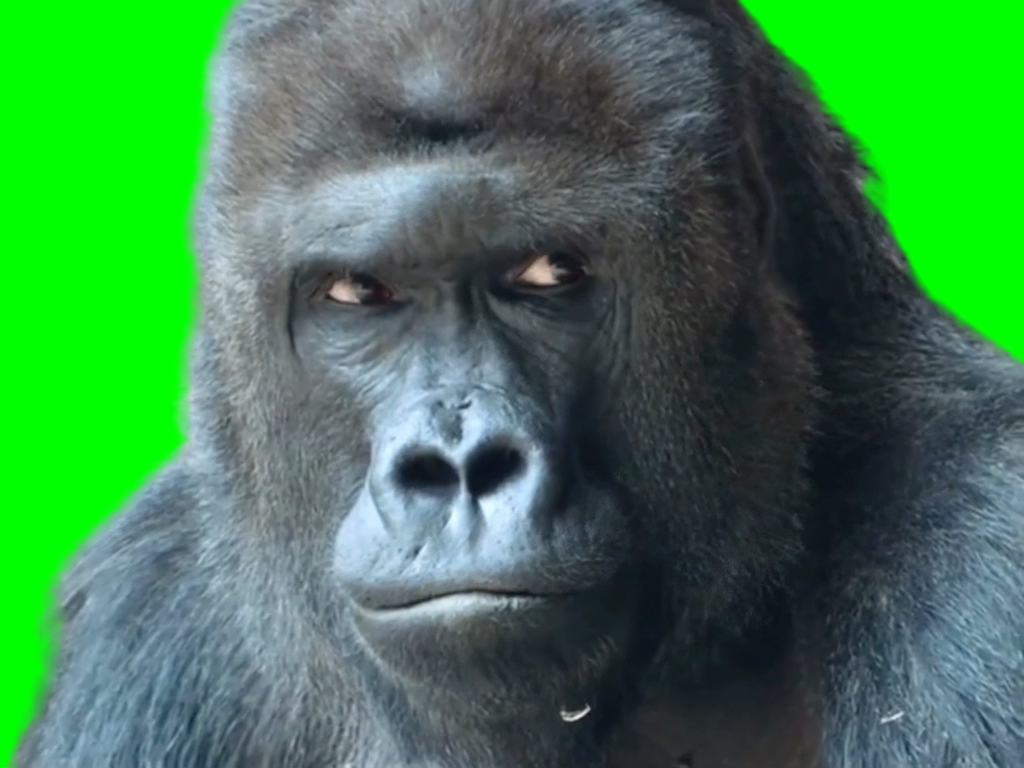 free green screen meme