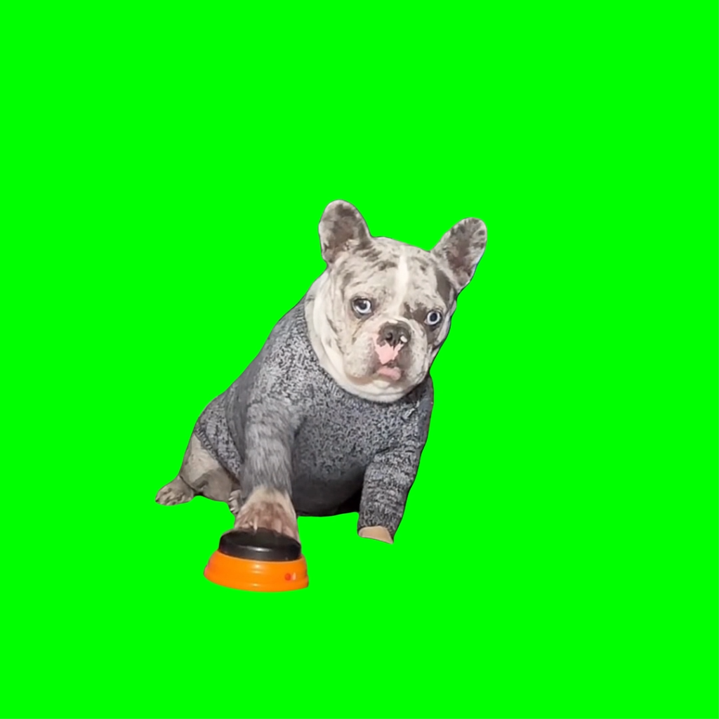 free green screen meme