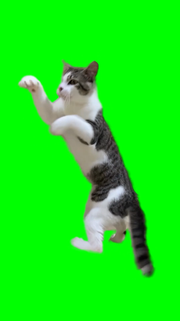 free green screen meme